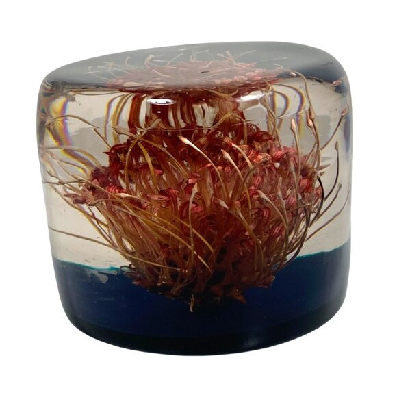 Vintage MCM Wild Thistle Flower Acrylic Resin Paperweight Handmade In Zimbabwe - Picture 3 of 7